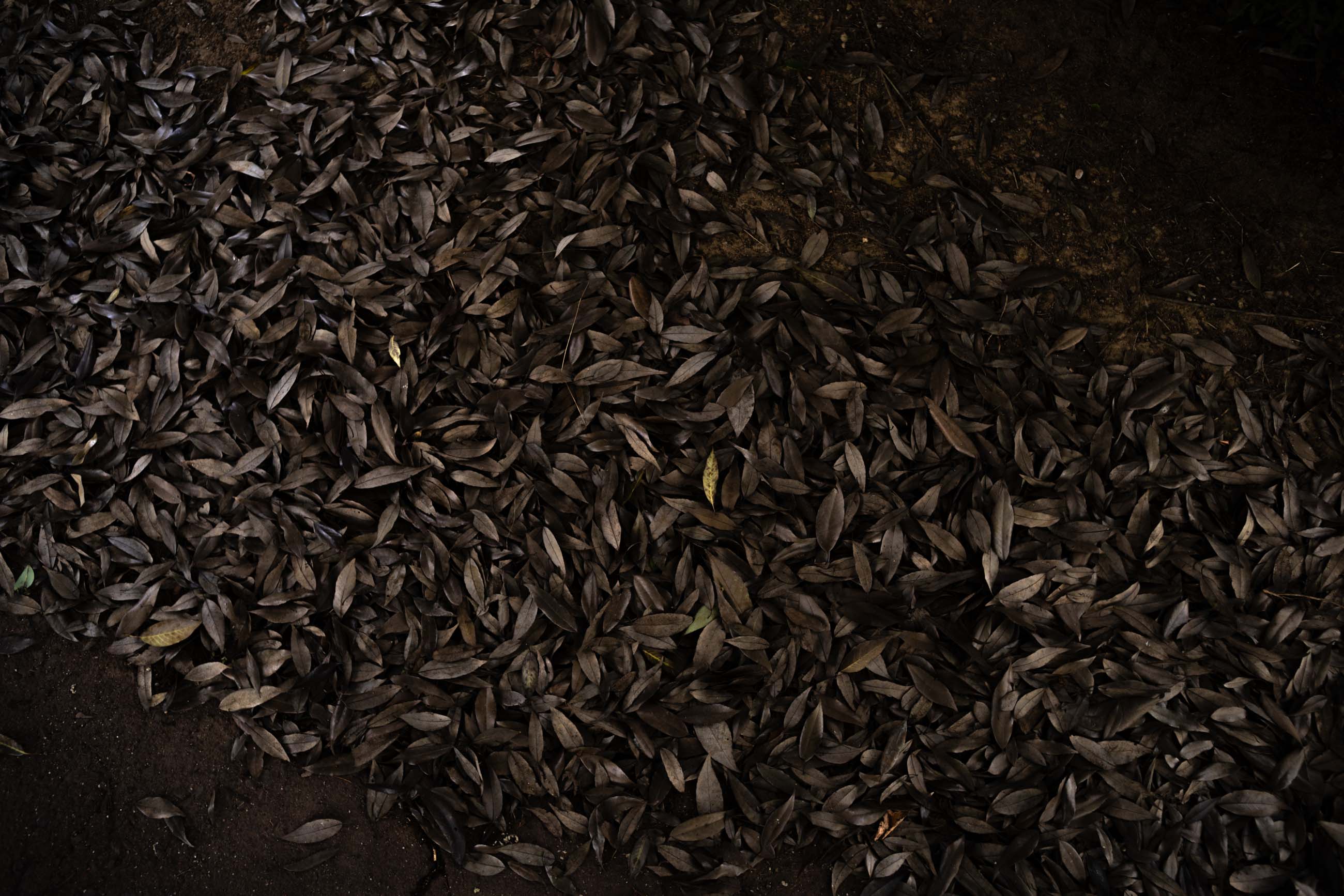 仙台のフォトグラファー カメラマン