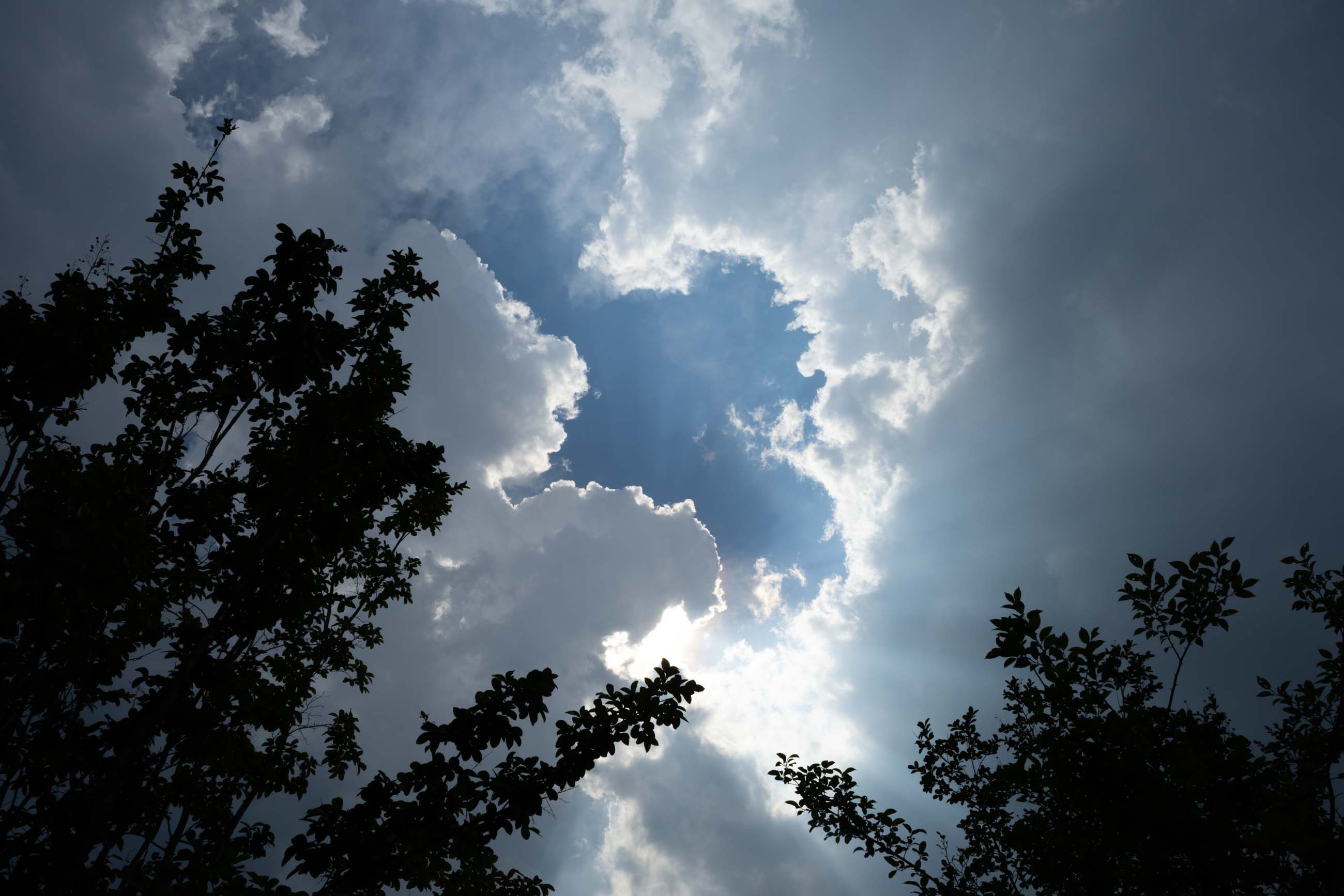 仙台のフォトグラファー カメラマン