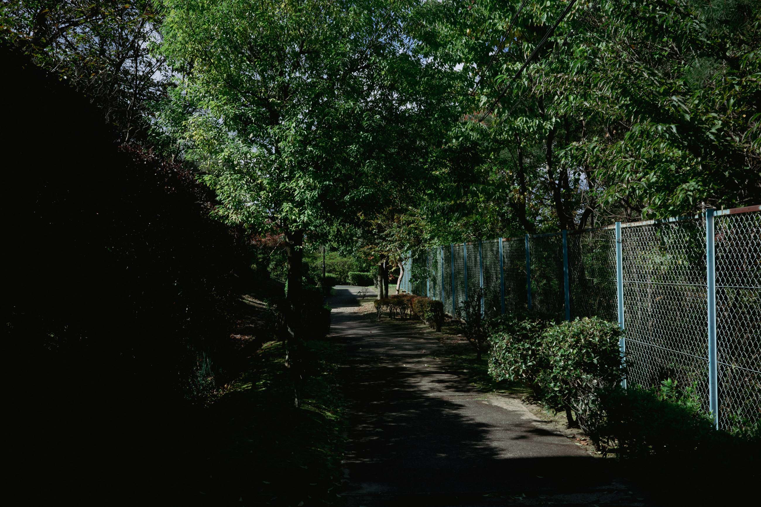 仙台のフォトグラファー カメラマン