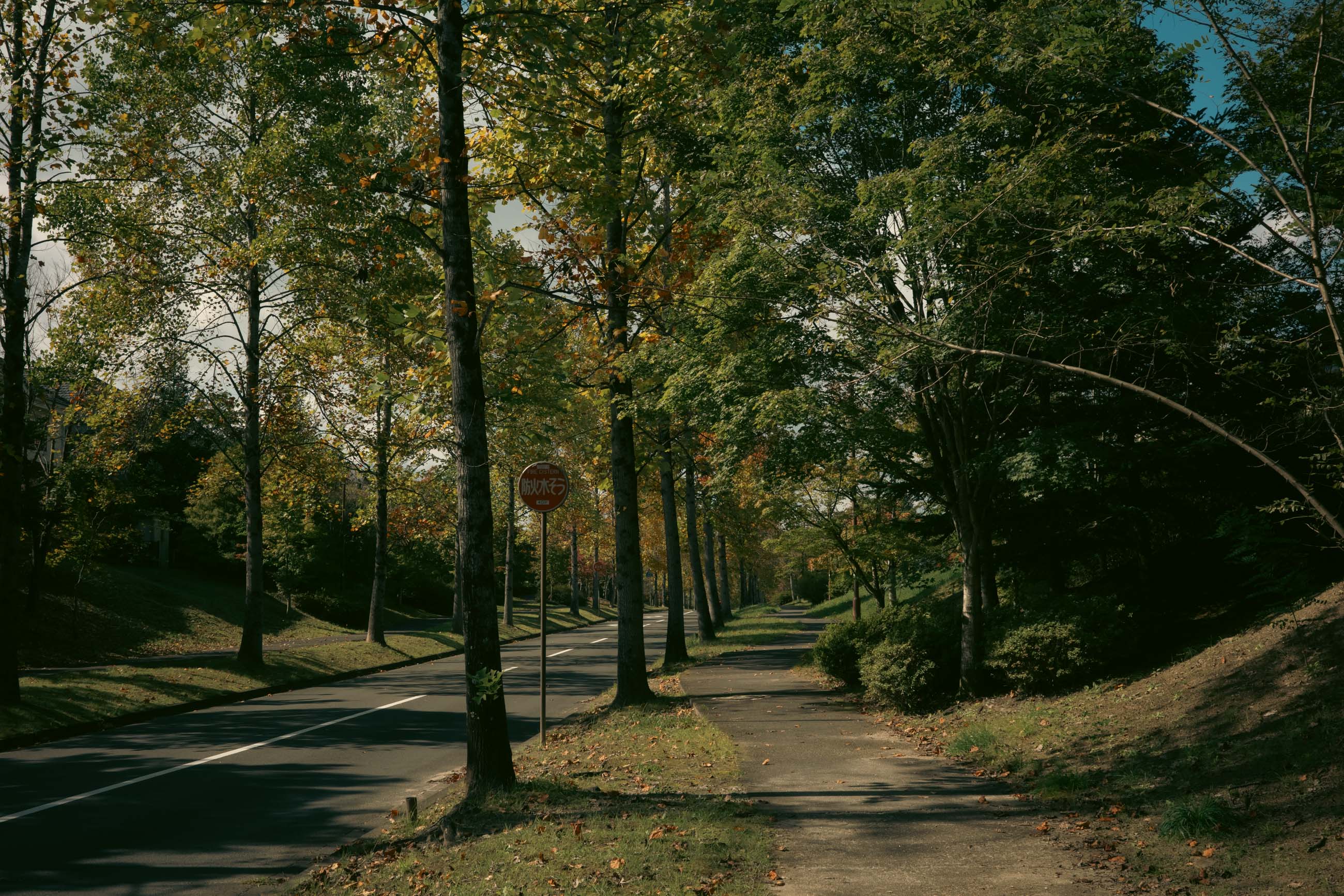 仙台のフォトグラファー カメラマン