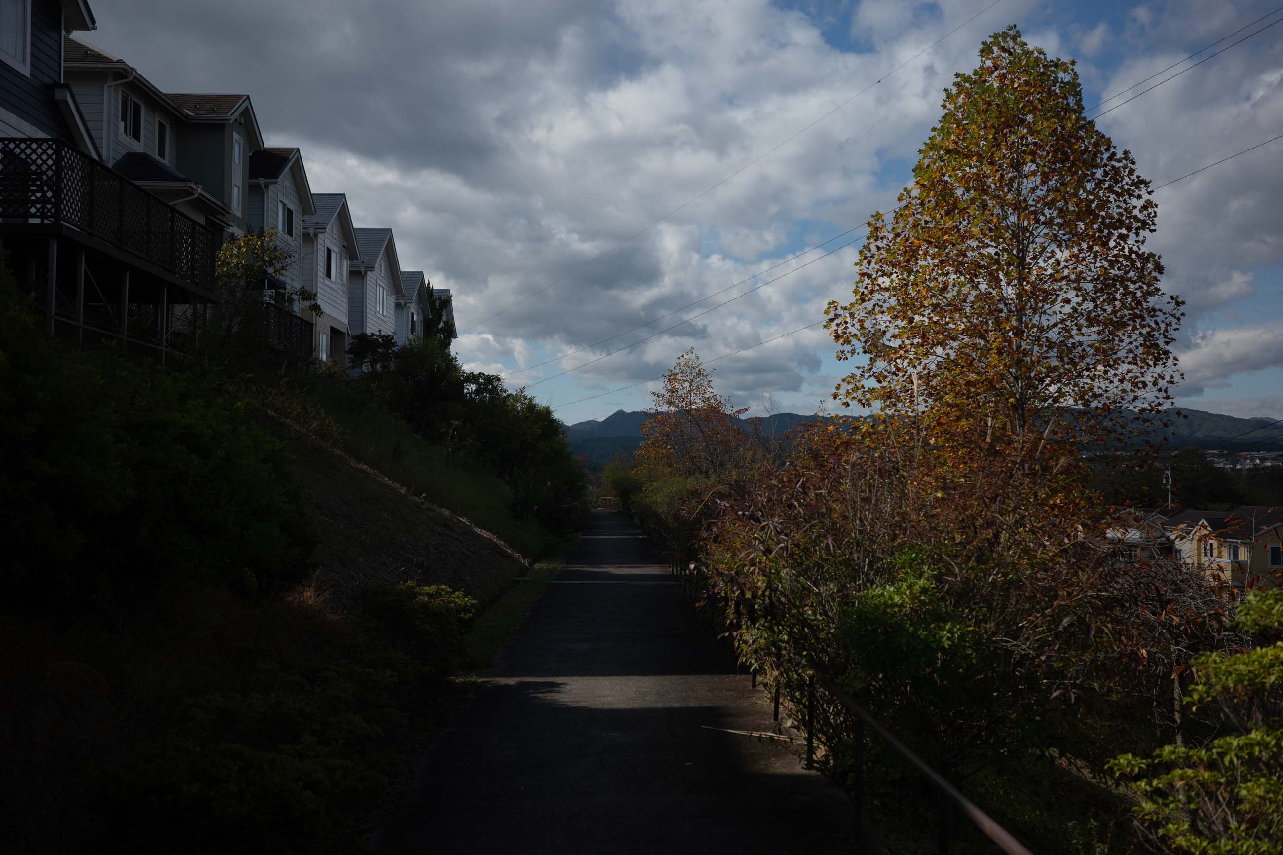 仙台のフォトグラファー カメラマン