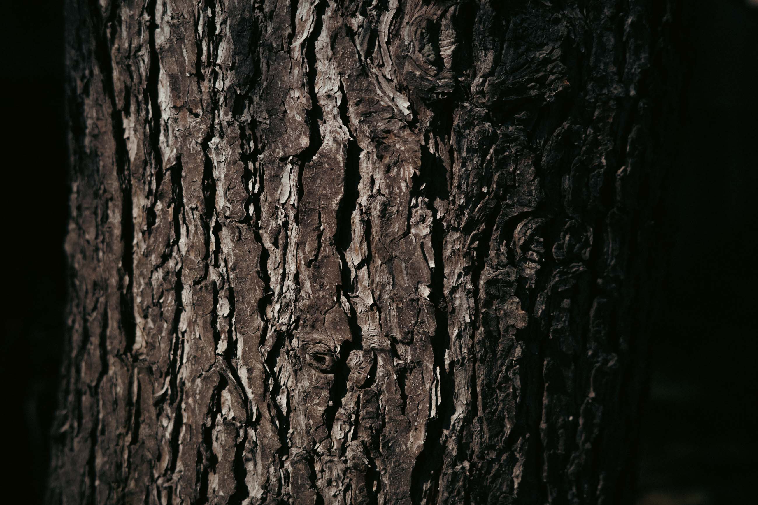 仙台のフォトグラファー カメラマン