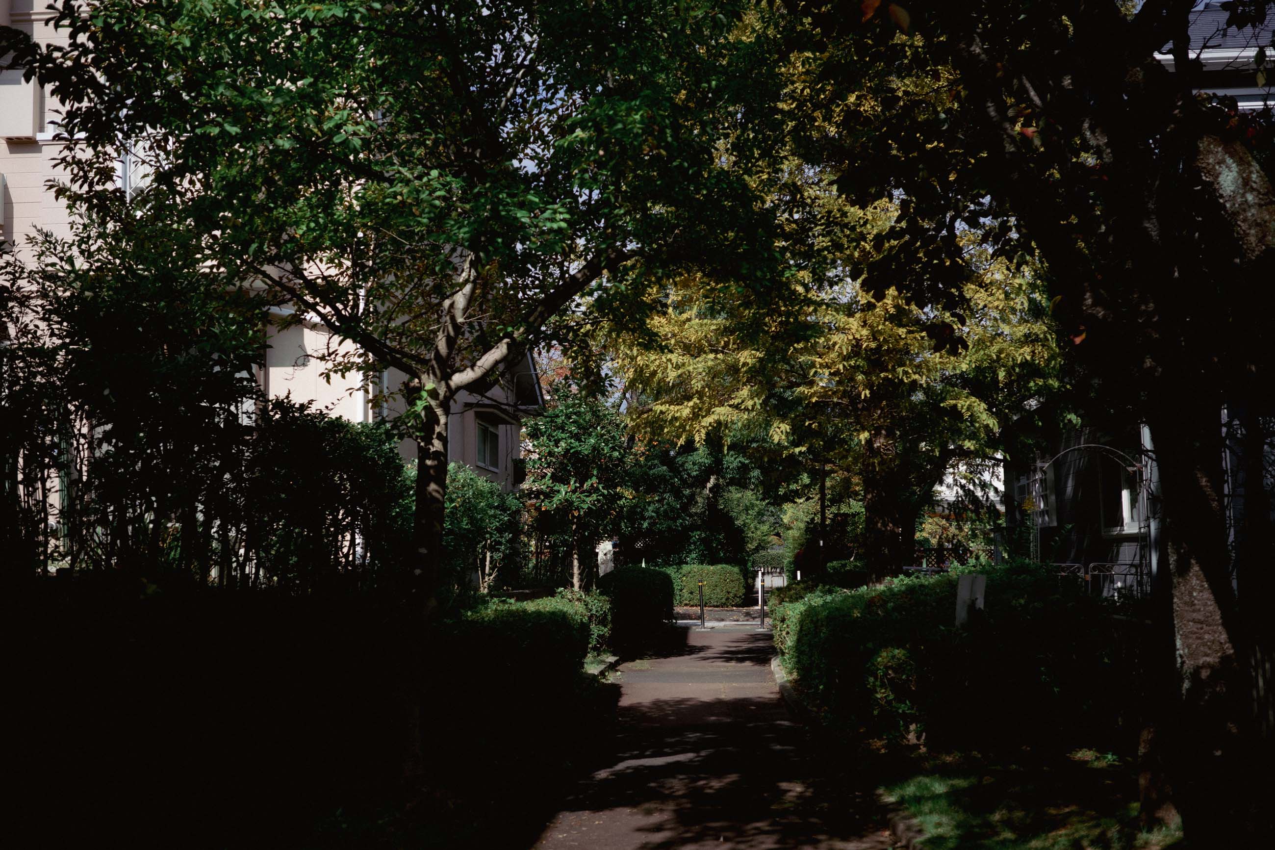 仙台のフォトグラファー カメラマン