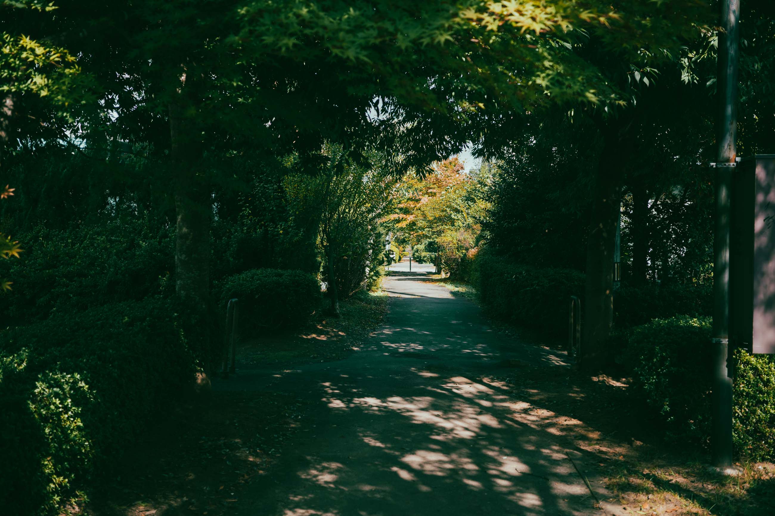 仙台のフォトグラファー カメラマン