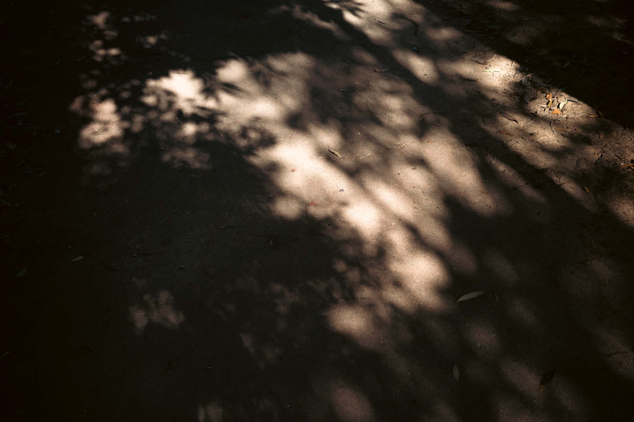 仙台のフォトグラファー カメラマン